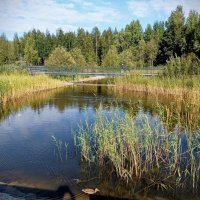 В парке Тондираба :: Veera V