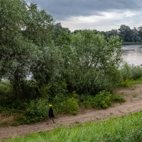 р. Нарев :: Светлана Ищенко