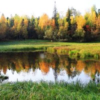 Умыться холодной водицей из лесного озерца! :: Владимир 