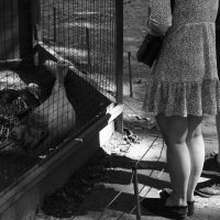 .... :: Юрий Самсонов