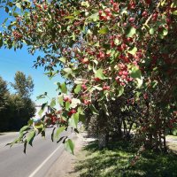 В городе осенью :: Галина Минчук