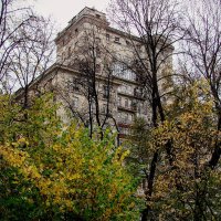 Вид из сада на проспект Мира,,, :: Анатолий Колосов