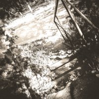 101 :: Алекс Патерсон