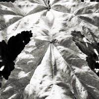 ... :: Денис Безногов ... :: Денис Безногов