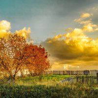 Закатные цвета :: александр 