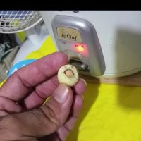 113 (99) :: CLOSE WAYS ALL