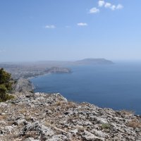 Природа Крыма :: Amazing Cosmea