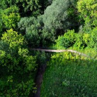 Чебоксары. Речка Трусиха летом (вид с Гагаринского моста). :: Пётр Чернега Чебоксары. Речка Трусиха летом (вид с Гагаринского моста). :: Пётр Чернега