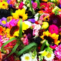 Праздничный букет для москвичей! :: Aida10 