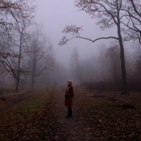 Лошааадкааа :: Хватова Марина 