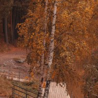 Осень — затишье перед зимой. :: Вадим Басов