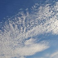 . :: РИТА ЛЕВКОВА