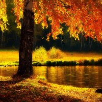 Осенняя пора :: Станислав .. Осенняя пора :: Станислав ..
