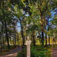 **** :: Алексей Архипов