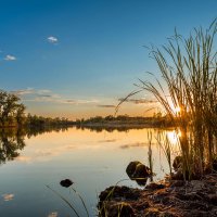 Закат на ерике Гнилой .Волго-Ахтубинская пойма :: Дина Евсеева