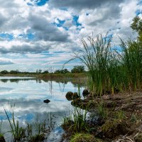 На берегу неба. :: Дина Евсеева