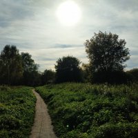 Бабье лето продолжается :: Андрей Лукьянов