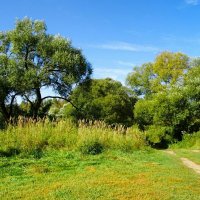 Смоленщина в сентябре (репортаж об осеннем озере). :: Милешкин Владимир Алексеевич 