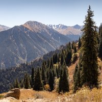 Вот и осень... :: Алексей Большаков