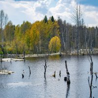 - :: Владимир Мигонькин