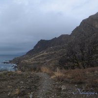 Природа Крыма :: Amazing Cosmea