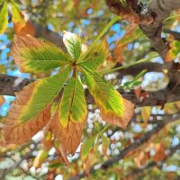 ... :: Сергей Тимоновский ... :: Сергей Тимоновский