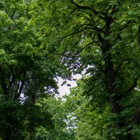 Новы Двур Мазовецки :: Светлана Ищенко