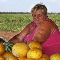 Продавец на бахче :: Наталья S