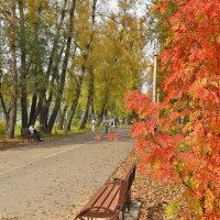 Аллея осени. :: юрий Амосов Аллея осени. :: юрий Амосов
