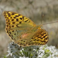 Поворот на осень... :: Константин Штарк