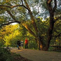 ***** :: юрий поляков ***** :: юрий поляков