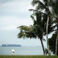 *** :: Валерий Бровко