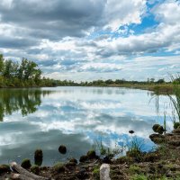 Природный парк Волго-Ахтубинская пойма. Волгоградская область. :: Дина Евсеева