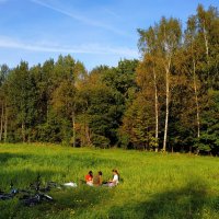 Бабье лето в Лосином острове :: Андрей Лукьянов Бабье лето в Лосином острове :: Андрей Лукьянов
