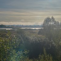 утро :: Константин Сафронов