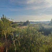 утро :: Константин Сафронов