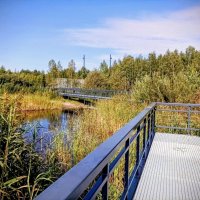 В парке Тондираба :: Veera V В парке Тондираба :: Veera V