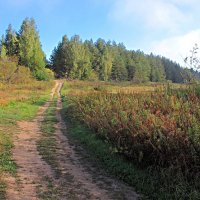 Дорогу осилит идущий :: Евгений Корьевщиков