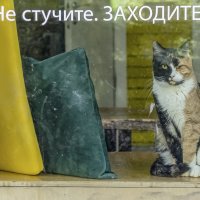 Всё под контролем :: Валерий Иванович