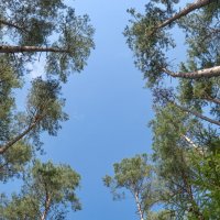 -- :: vladimir -- :: vladimir