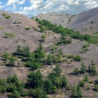 /// :: Константин Есипов