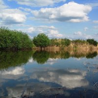 Лето и облака. :: сергей ермошкин