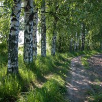 Чем дальше, тем заманчивей... :: Наталья Лунева Чем дальше, тем заманчивей... :: Наталья Лунева