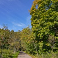 Палитра сентября... :: Владимир Жданов
