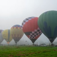Фестиваль воздухоплавания "Небо начинается здесь" :: Виктор Желенговский