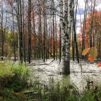 Бобриный Лог :: Сергей Винтовкин