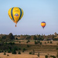 Фестиваль воздухоплавания "Небо начинается здесь" :: Виктор Желенговский