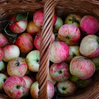 Сентябрь :: краснов юрий 