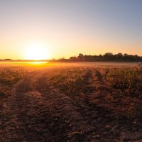 Русское поле :: Pavel Bamboleo