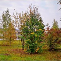 Про осенний день... :: Aquarius - Сергей